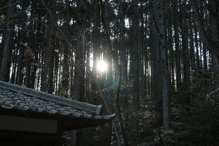 【岐阜・東美濃】大湫宿～大井宿、中津川宿～馬籠宿の史跡を訪ね、中山道を歩く