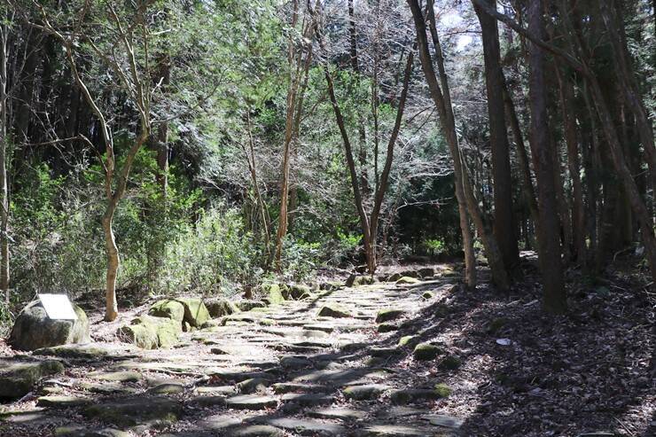 【岐阜・東美濃】大湫宿～大井宿、中津川宿～馬籠宿の史跡を訪ね、中山道を歩く