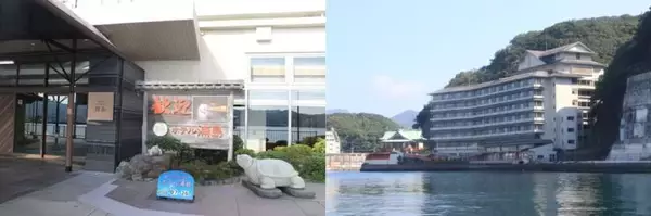 「南紀勝浦温泉「ホテル浦島」が創業70周年を迎え大規模リニューアル！ 新しくなった日昇館の宿泊体験記」の画像