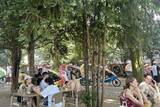 「【世界の街角】ドイツ・フランクフルトの緑豊かな公園を歩き、自然景観を楽しむ」の画像10