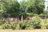 「【世界の街角】ドイツ・フランクフルトの緑豊かな公園を歩き、自然景観を楽しむ」の画像6