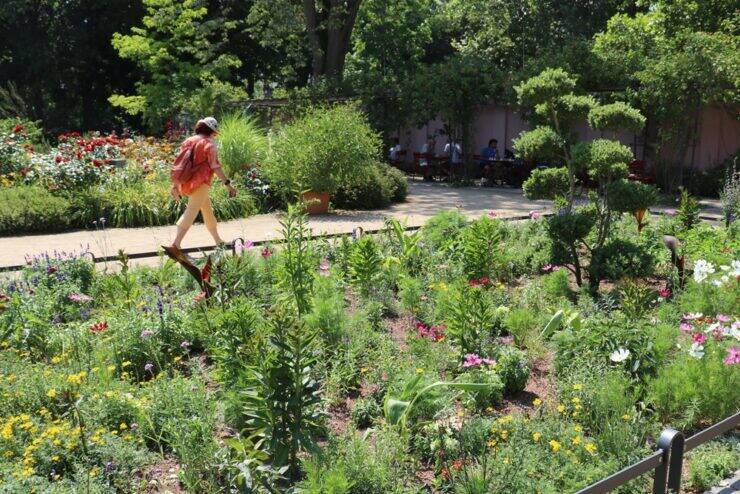 【世界の街角】ドイツ・フランクフルトの緑豊かな公園を歩き、自然景観を楽しむ