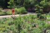 「【世界の街角】ドイツ・フランクフルトの緑豊かな公園を歩き、自然景観を楽しむ」の画像7