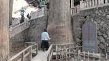 「最も神様に近い場所!? 関東一のパワースポット・秩父「三峯神社」」の画像5