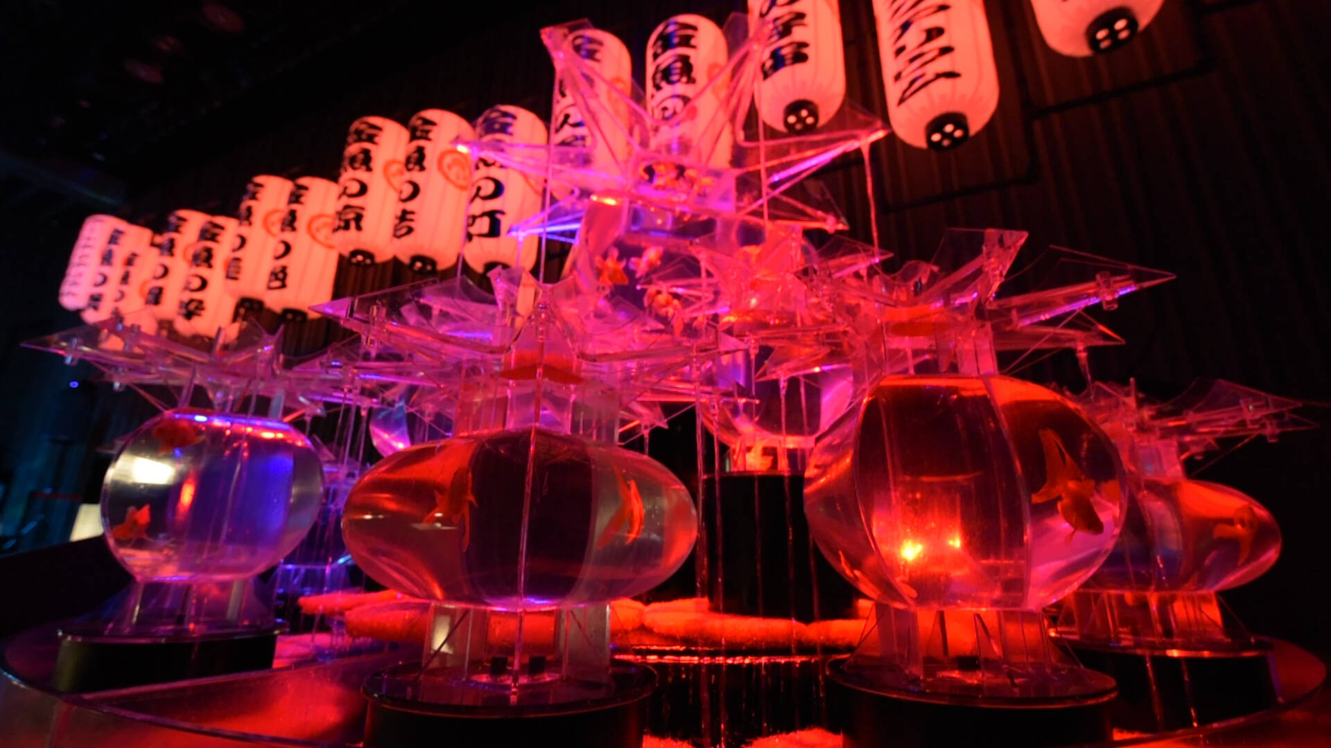 アートアクアリウム日本橋 スポット編 浴衣で涼を取るお出かけスポット 16年7月31日 エキサイトニュース