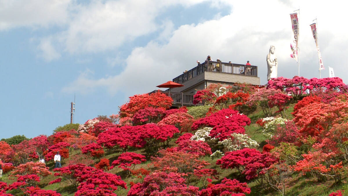 小さな花々が織りなす景色 山を赤く染め上げるつつじ祭り 18年6月14日 エキサイトニュース