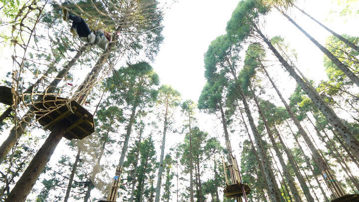 気分はターザン 大自然を感じる空中散歩 18年5月11日 エキサイトニュース