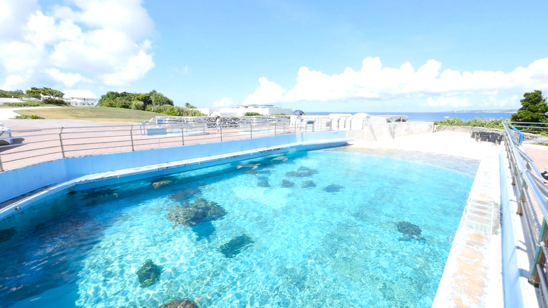 海を背景にイルカショー 絶対行きたい沖縄オススメスポット 17年10月22日 エキサイトニュース