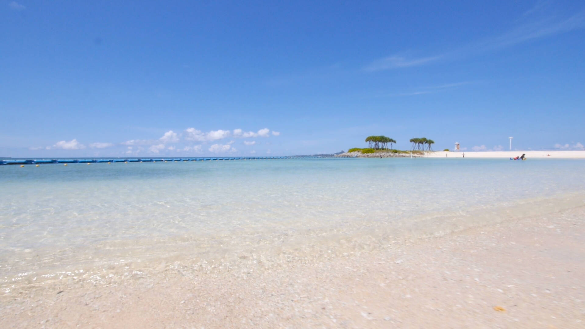 海を背景にイルカショー 絶対行きたい沖縄オススメスポット 17年10月22日 エキサイトニュース