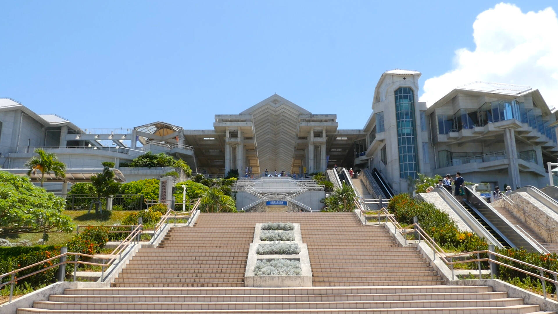 海を背景にイルカショー 絶対行きたい沖縄オススメスポット 17年10月22日 エキサイトニュース