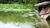 「心安らぐ写経体験も。雄大な池に浮かぶ美しい寺院「大覚寺」」の画像5