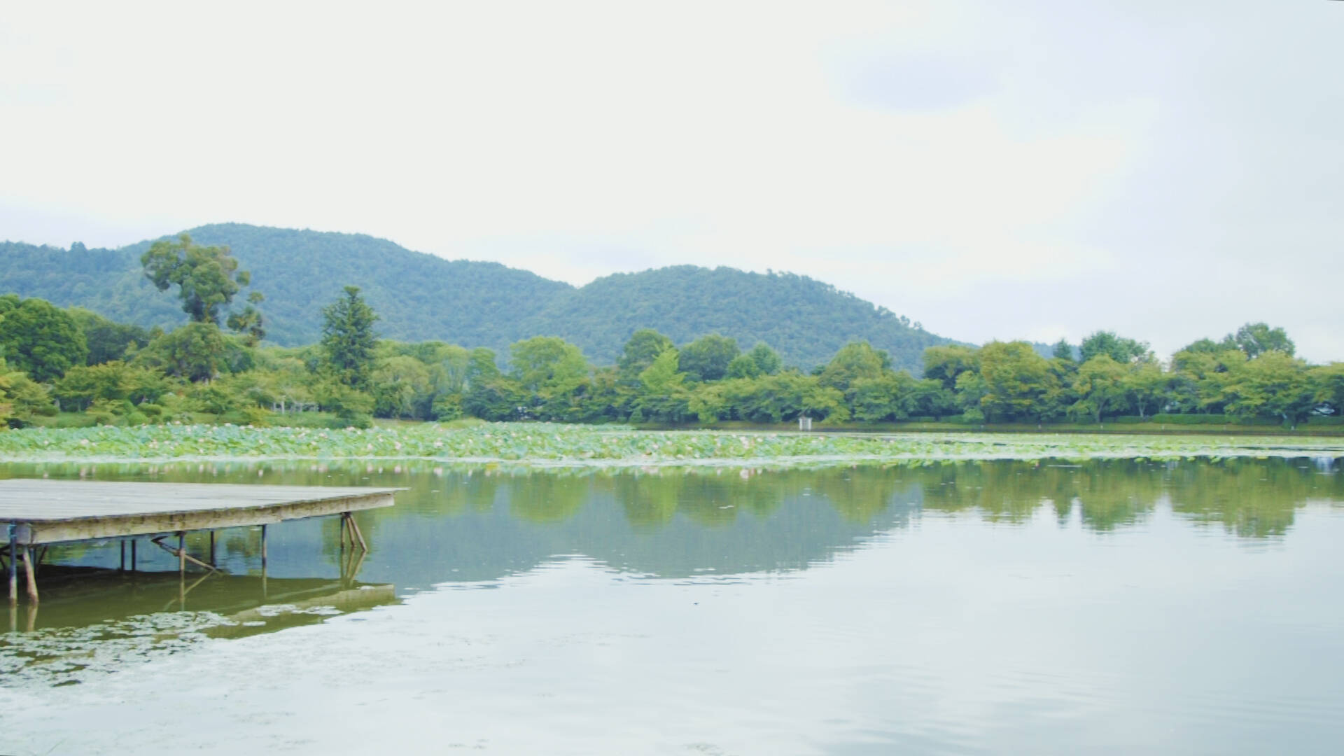 心安らぐ写経体験も。雄大な池に浮かぶ美しい寺院「大覚寺」