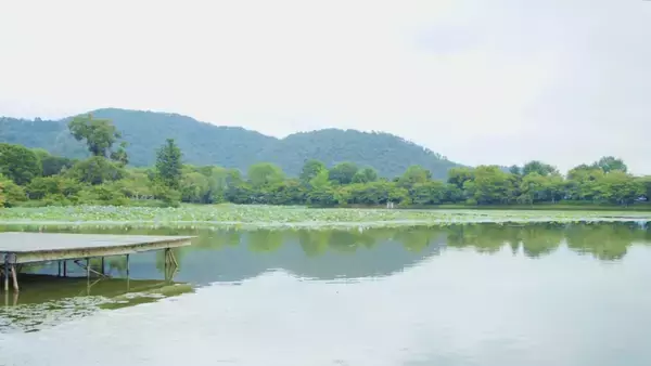 「心安らぐ写経体験も。雄大な池に浮かぶ美しい寺院「大覚寺」」の画像