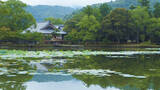 「心安らぐ写経体験も。雄大な池に浮かぶ美しい寺院「大覚寺」」の画像1