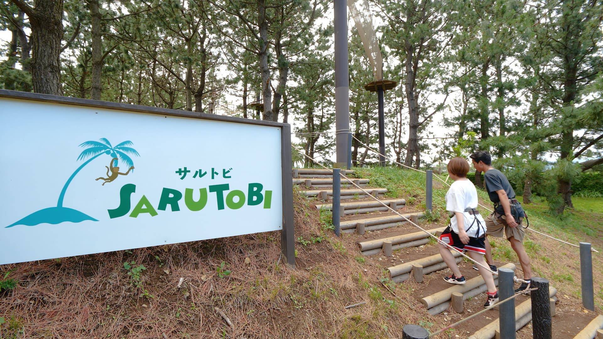 樹の上で冒険気分が味わえる 初島のアスレチックを体験 2019年8月3日 エキサイトニュース