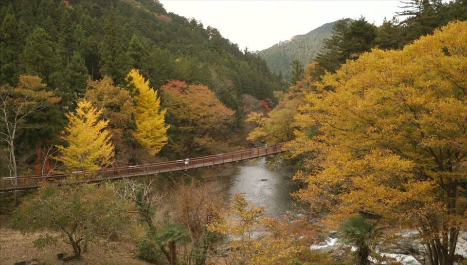 絶景ビューを独り占め 秋川渓谷 で雄大な景色を堪能 19年11月14日 エキサイトニュース