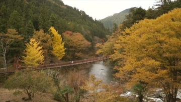 絶景ビューを独り占め！「秋川渓谷」で雄大な景色を堪能
