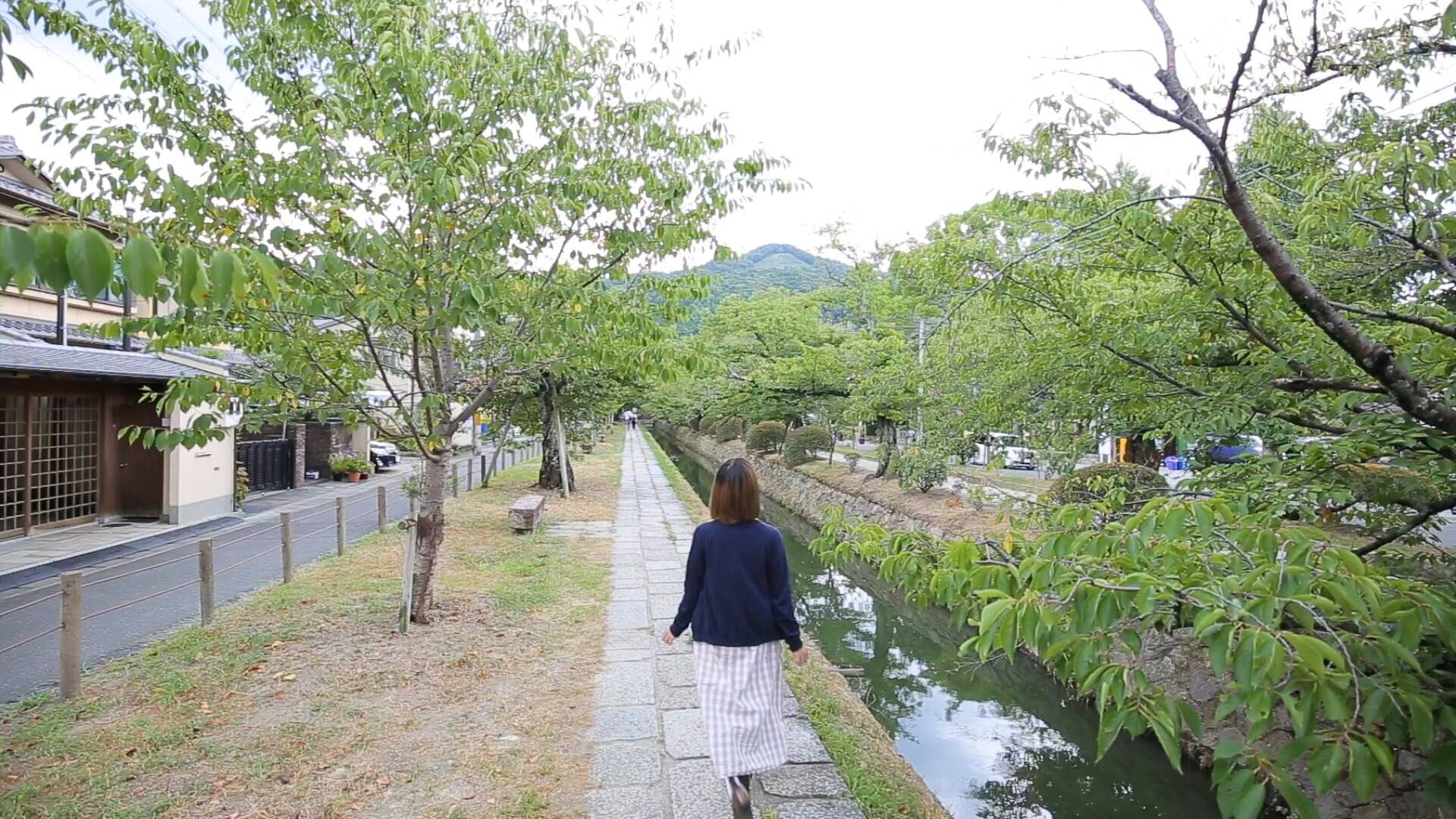 四季折々の景色に思いを馳せて。哲学者が愛した京都の小道