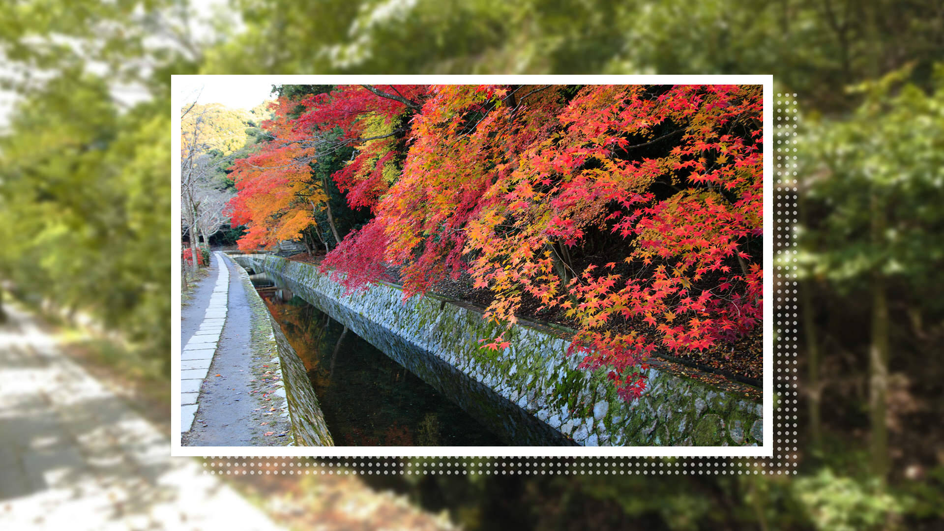 四季折々の景色に思いを馳せて。哲学者が愛した京都の小道