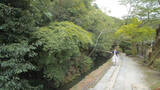 「四季折々の景色に思いを馳せて。哲学者が愛した京都の小道」の画像1