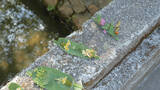 「四季折々の景色に思いを馳せて。哲学者が愛した京都の小道」の画像5