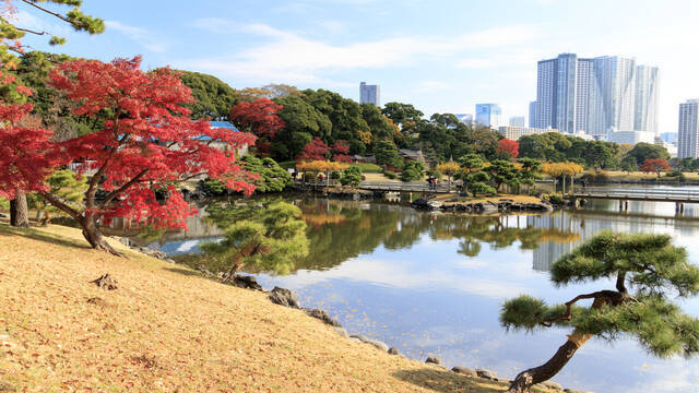 東京紅葉スポット 都心でも紅葉が楽しめる 新宿御苑コース 18年9月14日 エキサイトニュース