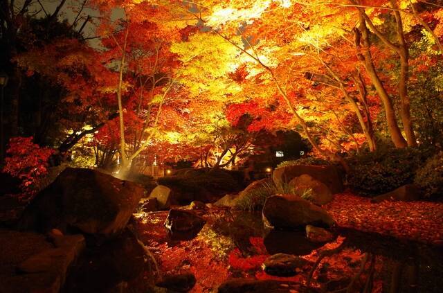 東京紅葉スポット 庭園を巡る紅葉鑑賞が魅力 六義園コース 18年9月14日 エキサイトニュース