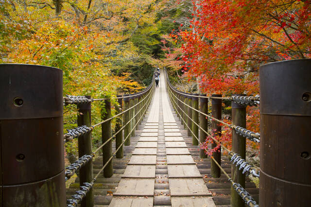 茨城紅葉スポット ダイナミックな紅葉が楽しめる 袋田の滝コース 18年9月15日 エキサイトニュース