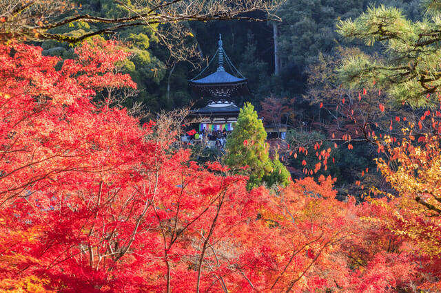 京都紅葉スポット 紅葉の名所が盛りだくさん 南禅寺コース 18年9月17日 エキサイトニュース