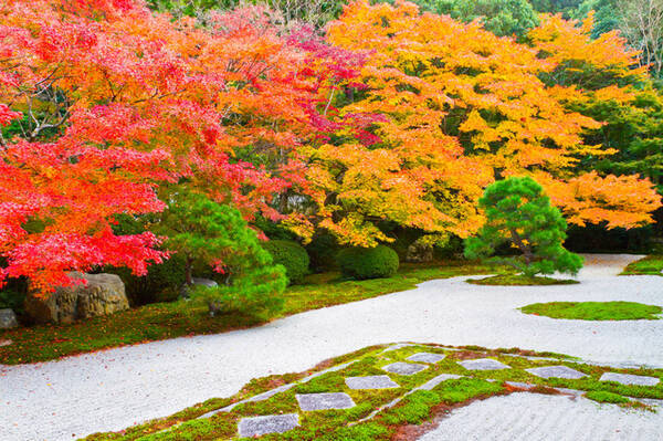 京都紅葉スポット 紅葉の名所が盛りだくさん 南禅寺コース 18年9月17日 エキサイトニュース