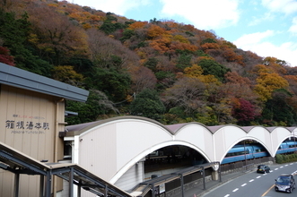 【神奈川紅葉スポット】温泉と一緒に紅葉を楽しめる「箱根コース」