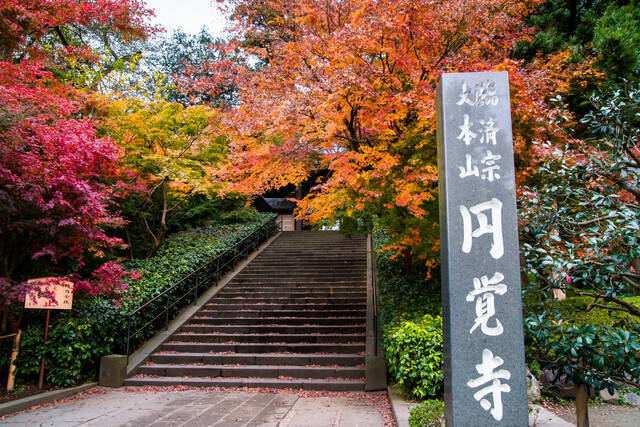 神奈川紅葉スポット 歴史 紅葉を楽しむ 北鎌倉コース 18年10月18日 エキサイトニュース