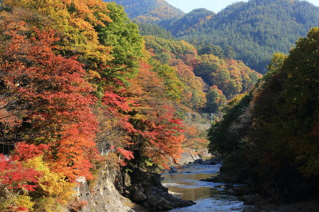 群馬紅葉スポット 山岳や渓谷の秋を楽しむ 谷川岳コース 18年10月17日 エキサイトニュース