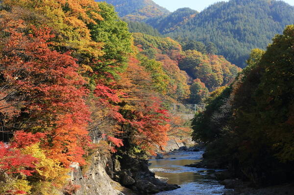 群馬紅葉スポット 山岳や渓谷の秋を楽しむ 谷川岳コース 18年10月17日 エキサイトニュース