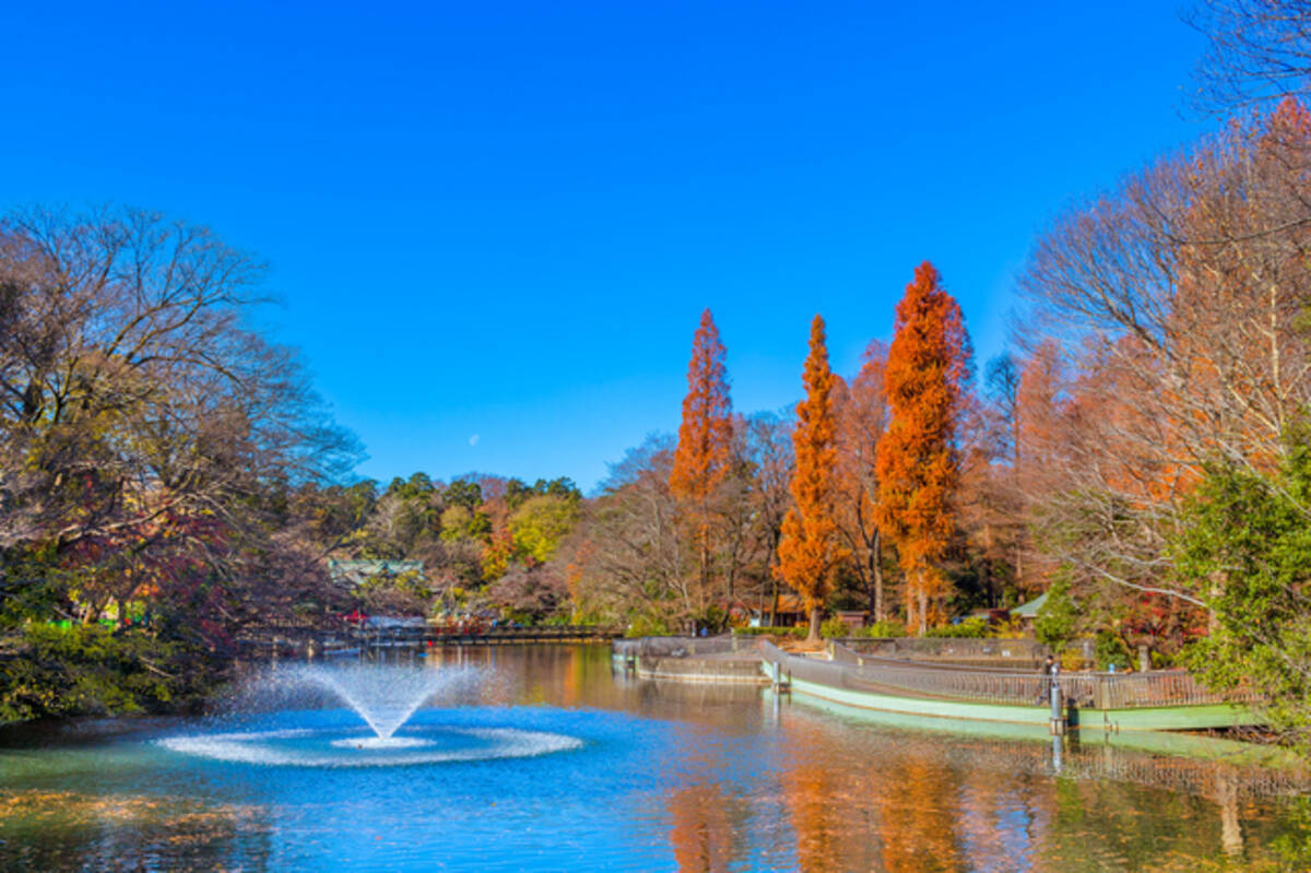 東京紅葉スポット 都内で気軽に楽しめる 井の頭公園コース 18年10月17日 エキサイトニュース