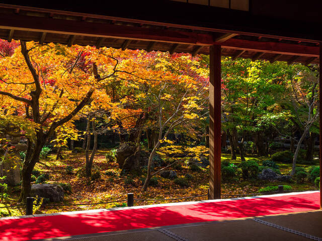 京都紅葉スポット 歴史ある風景をたどる 曼殊院門跡コース 18年10月17日 エキサイトニュース