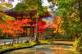 「【奈良紅葉スポット】華やかなライトアップも楽しめる「室生寺コース」」の画像3