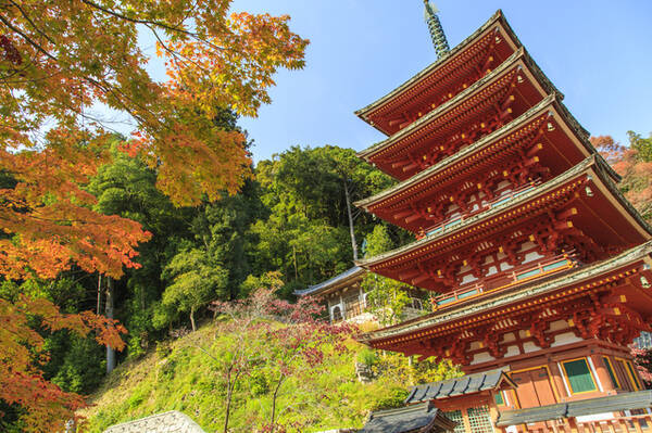 奈良紅葉スポット 華やかなライトアップも楽しめる 室生寺コース 18年10月17日 エキサイトニュース