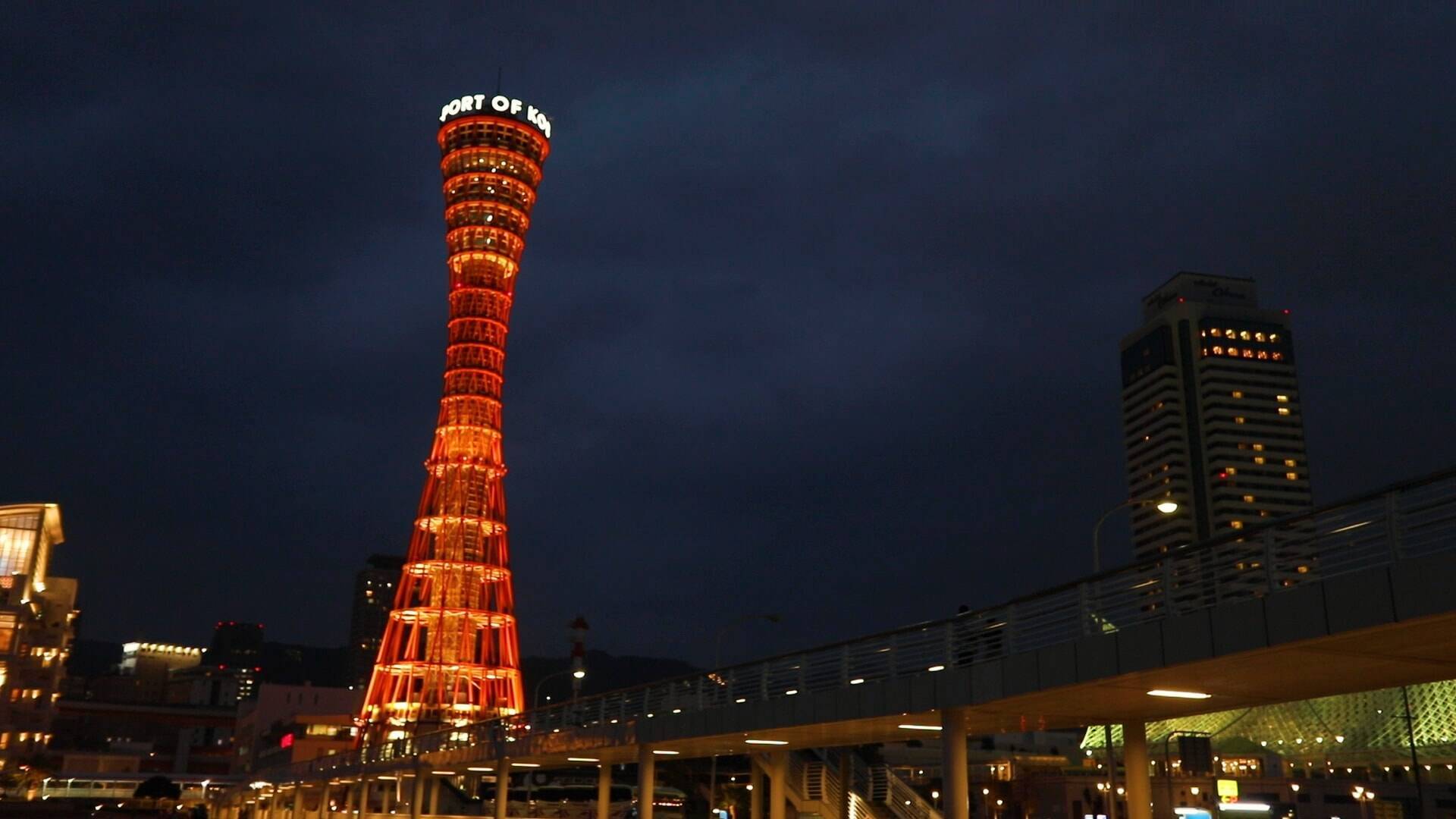 神戸の街並みを一望 神戸ポートタワー のおすすめポイント 18年10月11日 エキサイトニュース