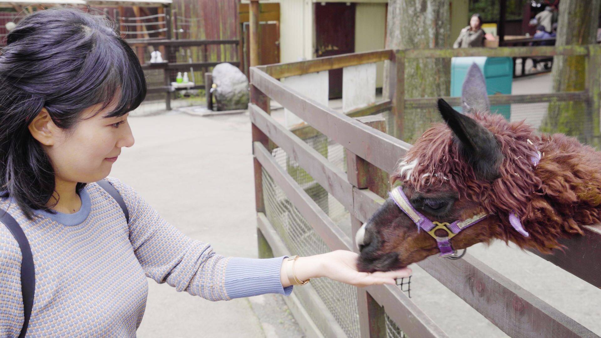 ほのぼの動物にキュンとなる 究極の癒し系動物園 19年4月15日 エキサイトニュース