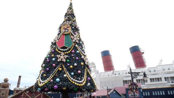 幻想的に輝く 東京ディズニーシー クリスマスデコレーション18 19年3月13日 エキサイトニュース