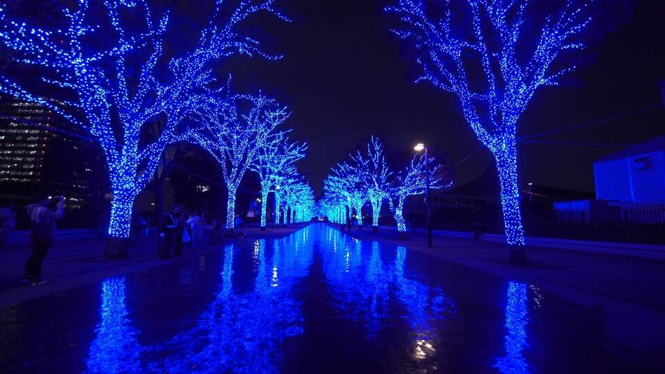 青の洞窟 Shibuya 全長約750mのイルミネーションに見とれる 18年6月7日 エキサイトニュース