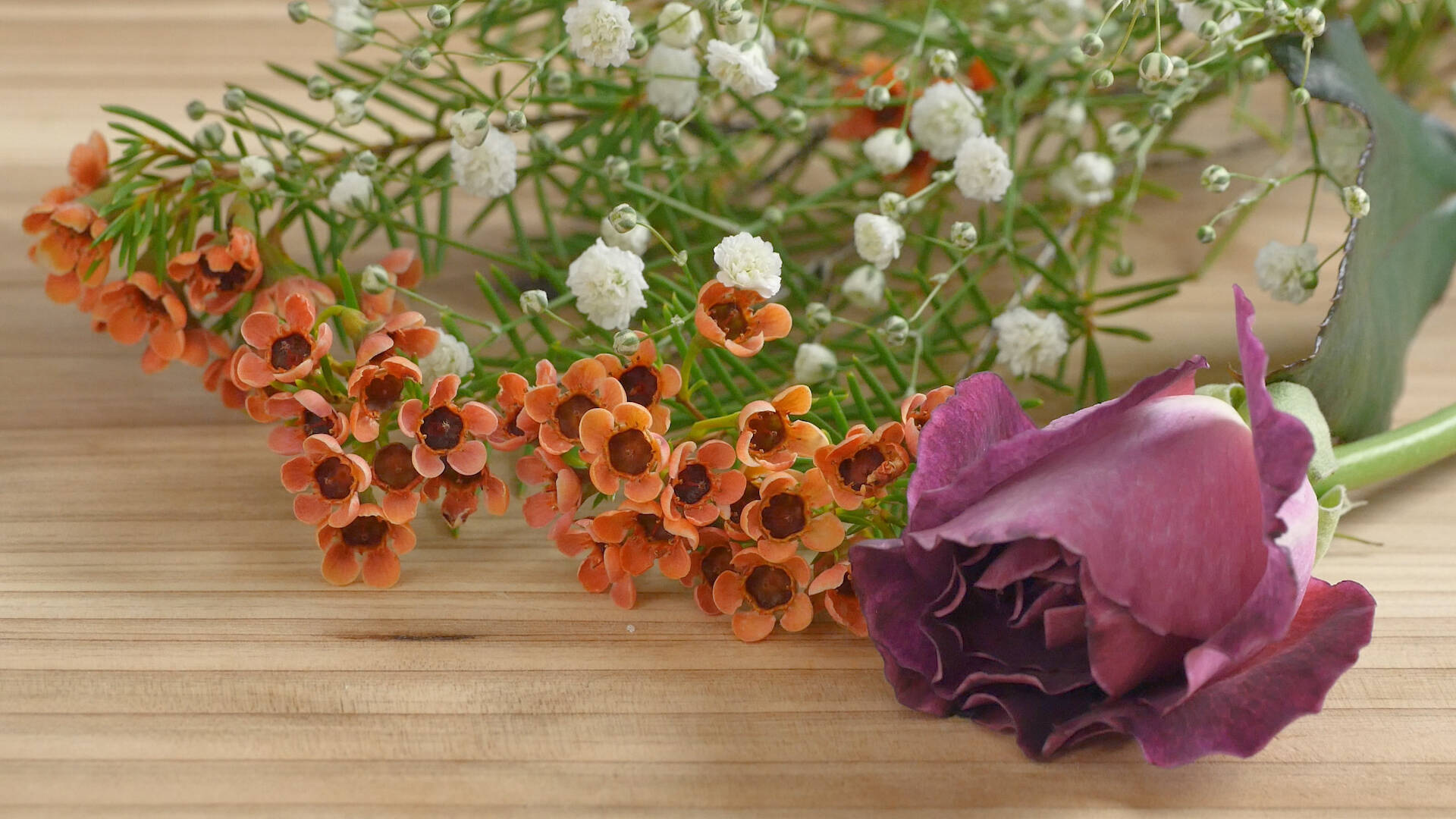 好きな花を長く楽しむ 電子レンジで簡単 押し花 の作り方 18年1月21日 エキサイトニュース