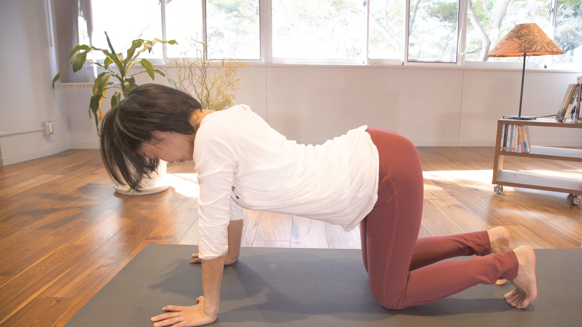 しなやかな背中でリラックス キャット カウ 19年9月15日 エキサイトニュース