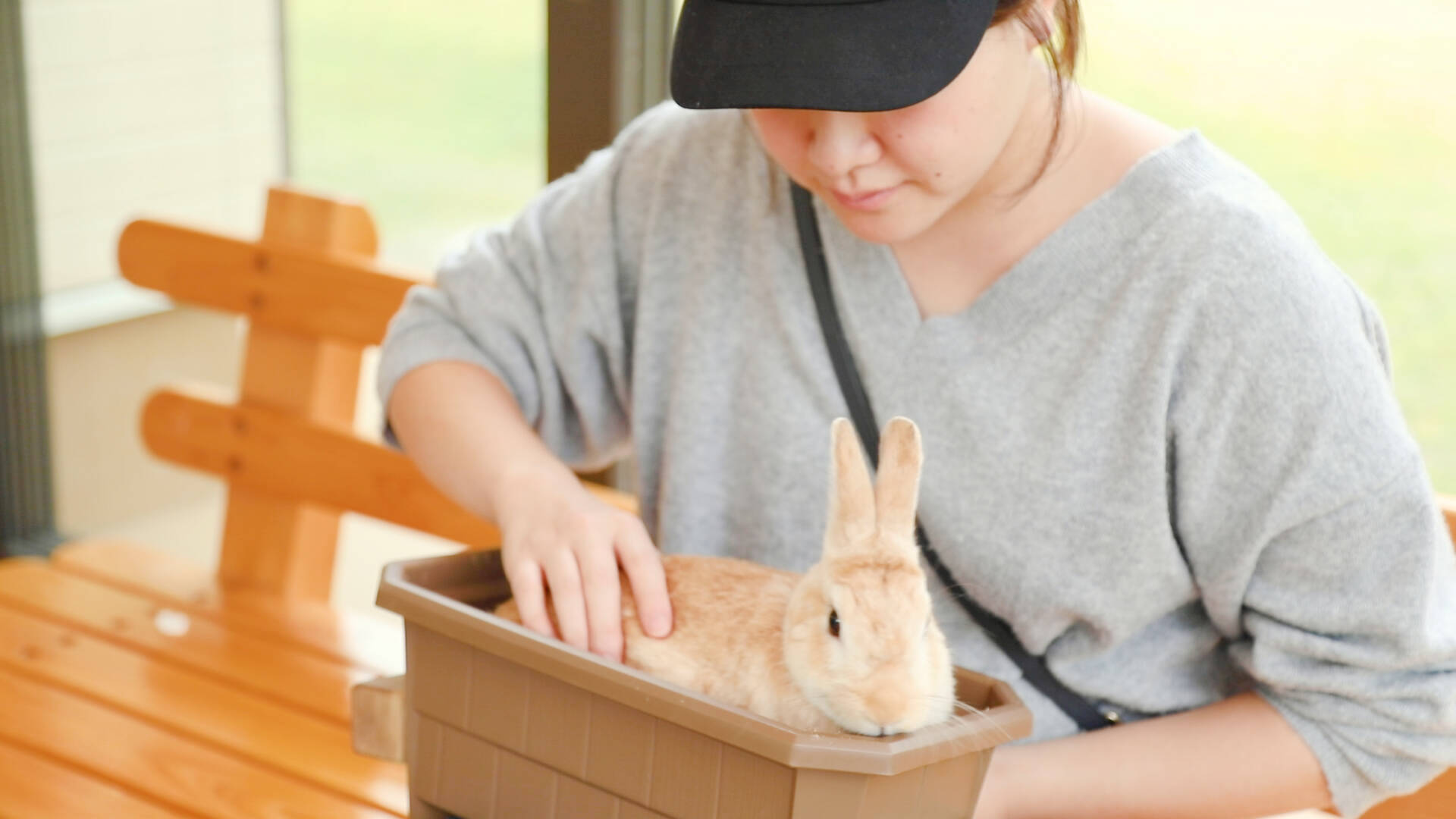 140種の動物たちに出会える 和歌山 アドベンチャーワールド 2018年12月3日 エキサイトニュース