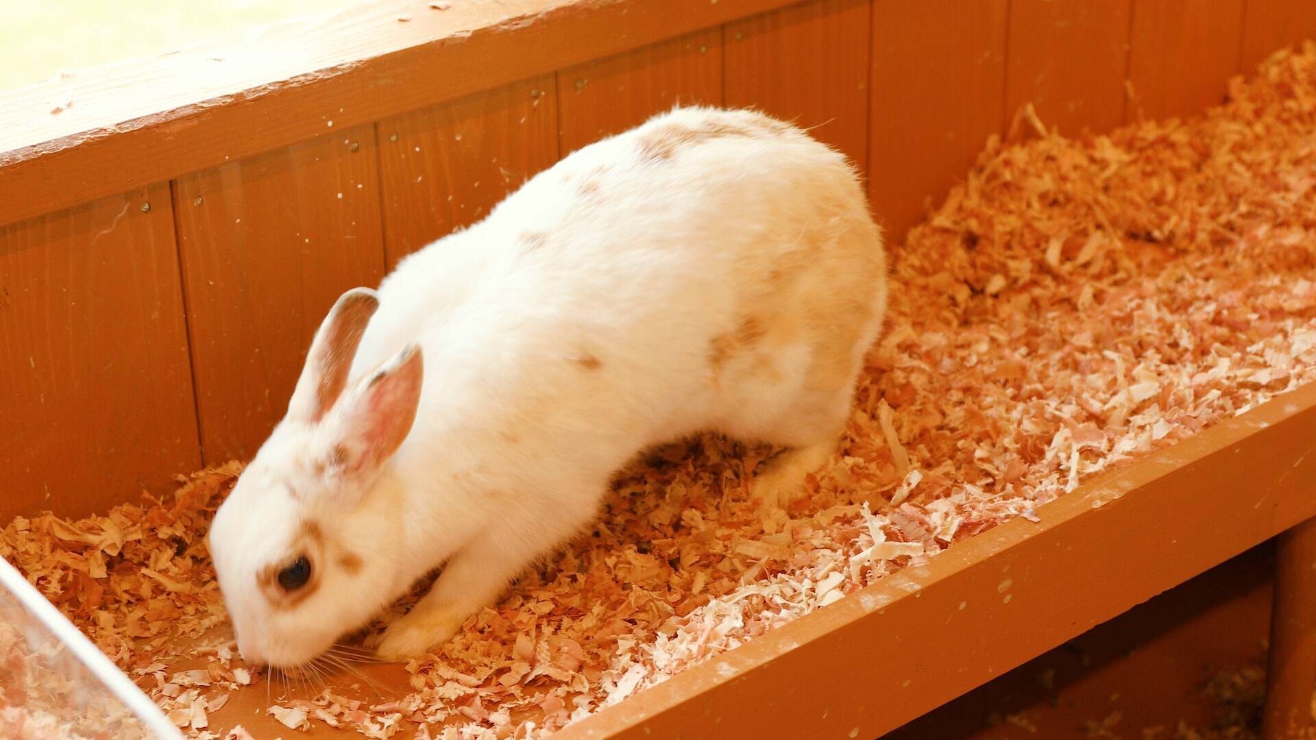 140種の動物たちに出会える 和歌山 アドベンチャーワールド 18年12月3日 エキサイトニュース