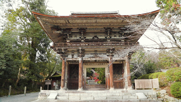 映画のロケ地としても有名！琵琶湖を望む滋賀の寺院「三井寺」