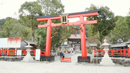 ご祭神は“醸造祖神”！歴史ある京都の神社「松尾大社」でパワースポット巡り
