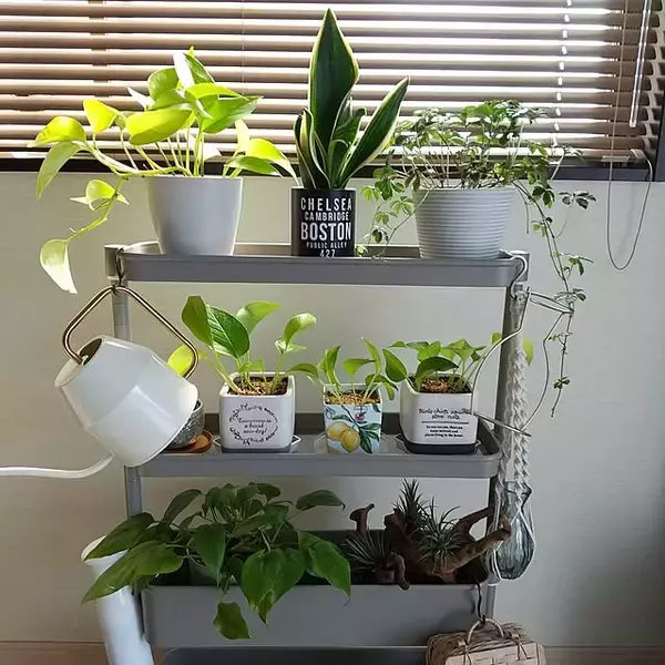 「みんなのお気に入りはコレ！2024年の買ってよかった物10選」の画像