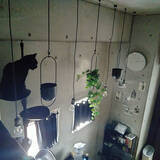 「「26m2。近代美術館の雰囲気を目指した、アートと保護猫と過ごす部屋」 by Kateさん」の画像1